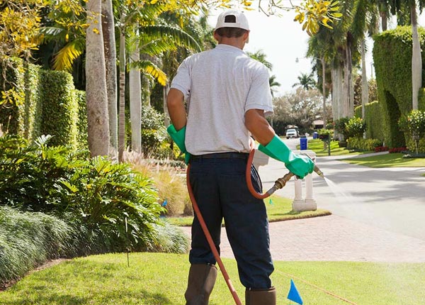 About Spragueville IA Pest Control